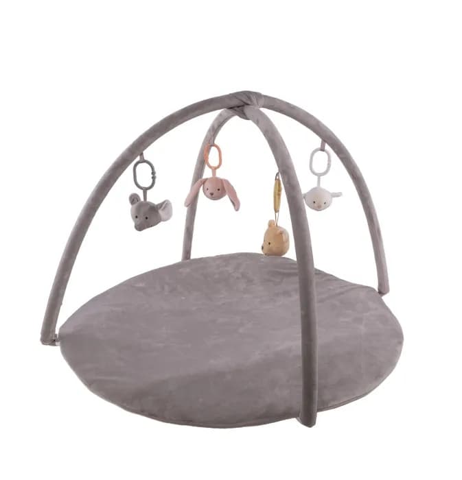 Babygym Djur