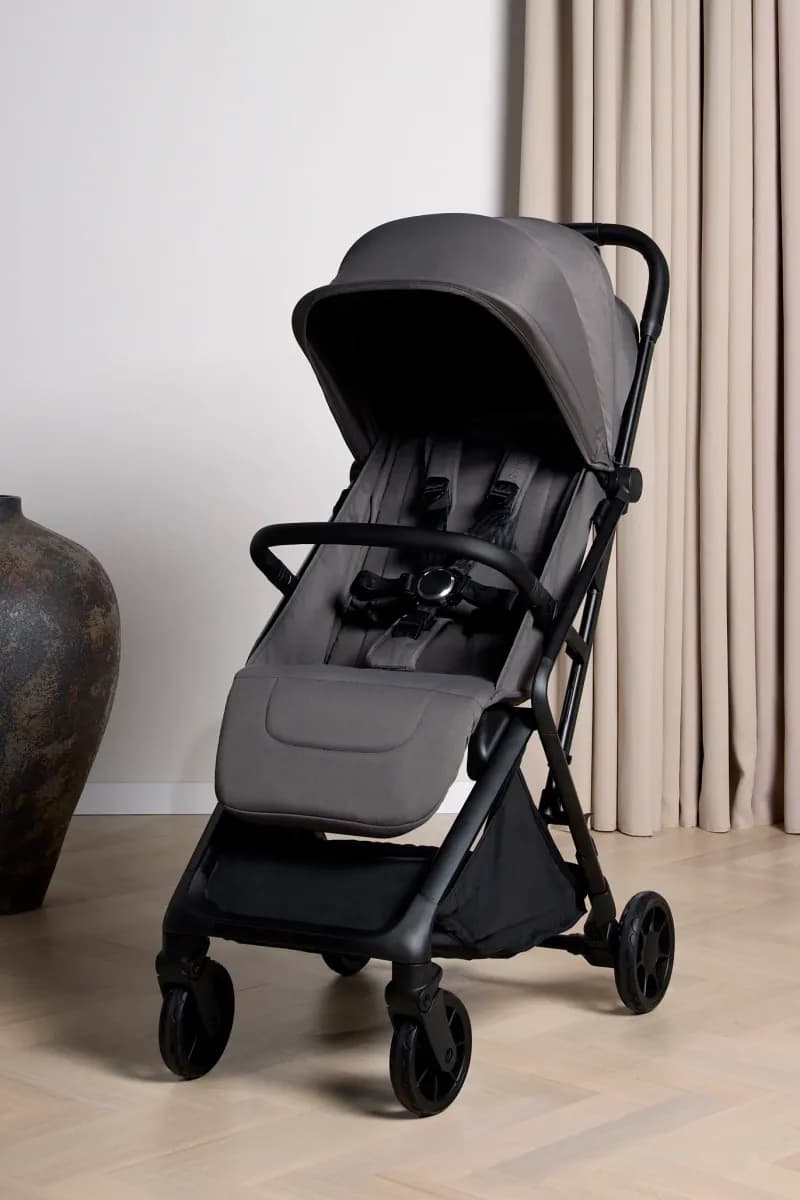 Beemoo Pro Venti Sulky, Mocha Grey