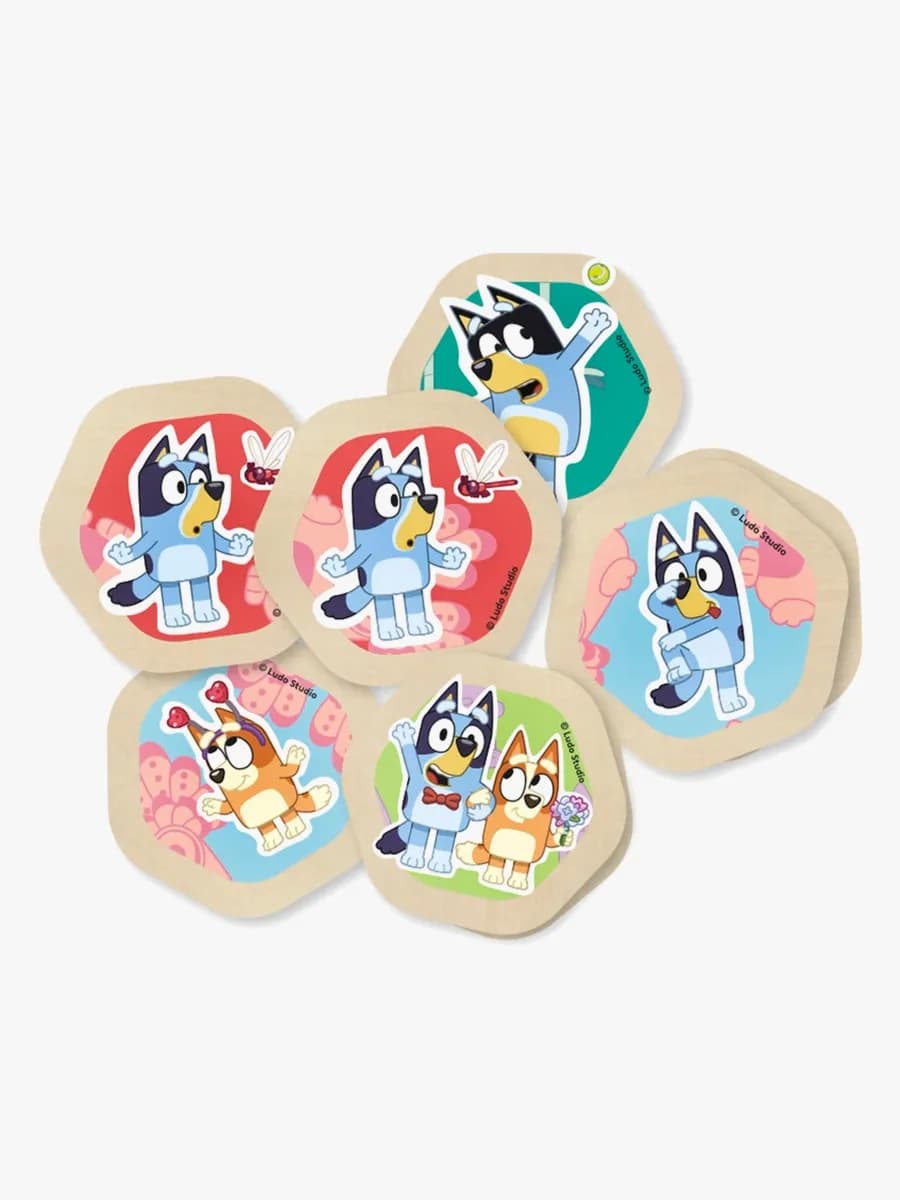 Bluey Memospel