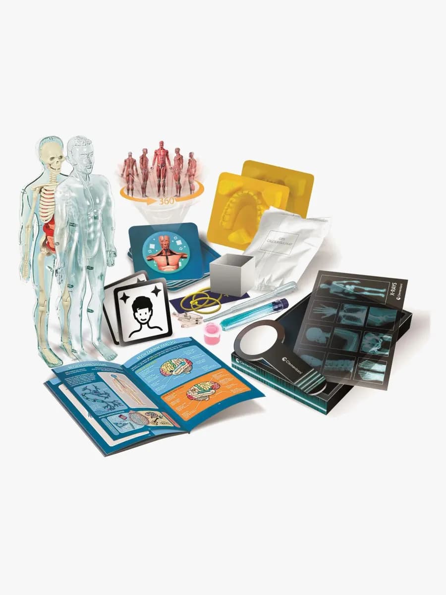 Clementoni Science &  Play Vetenskapskit Anatomi