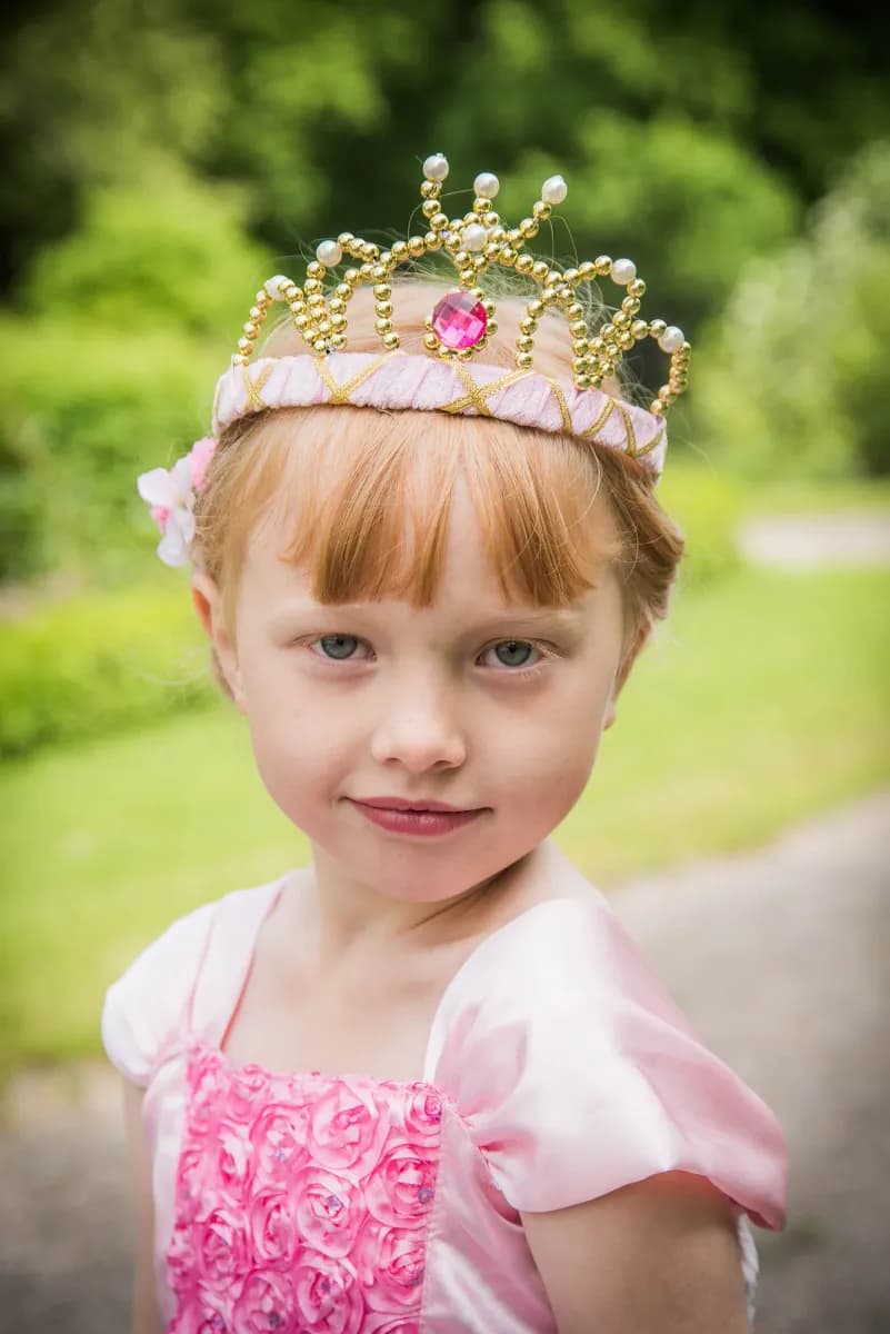 Den Goda Fen Utklädnad Tiara Sammet, Rosa