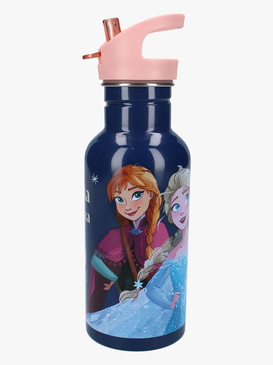 Disney Frozen 2 Vattenflaska 500ml Take A Sip, Blå