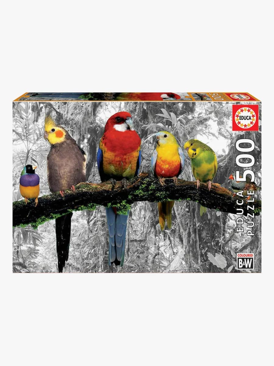 Educa Pussel Birds On The Jungle 500 Bitar
