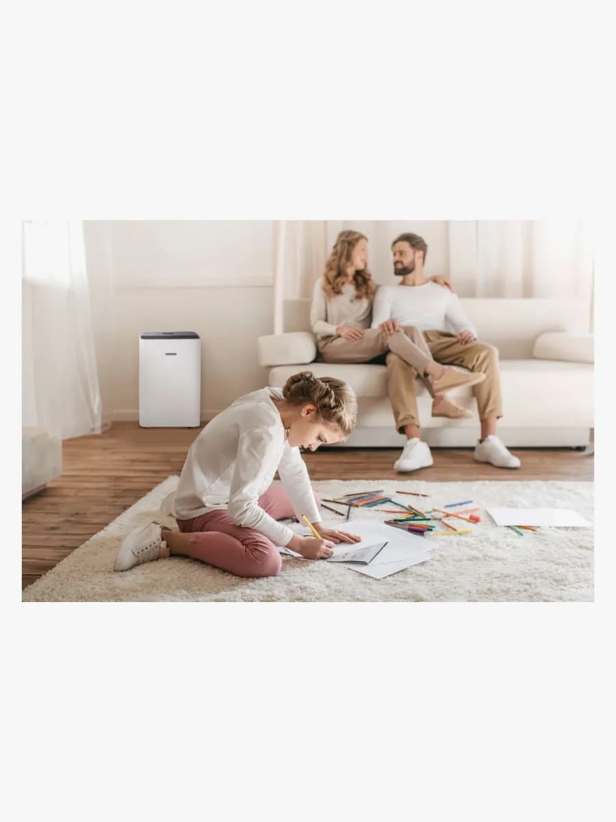 eeese Emma Avfuktare 20L, Wi-Fi