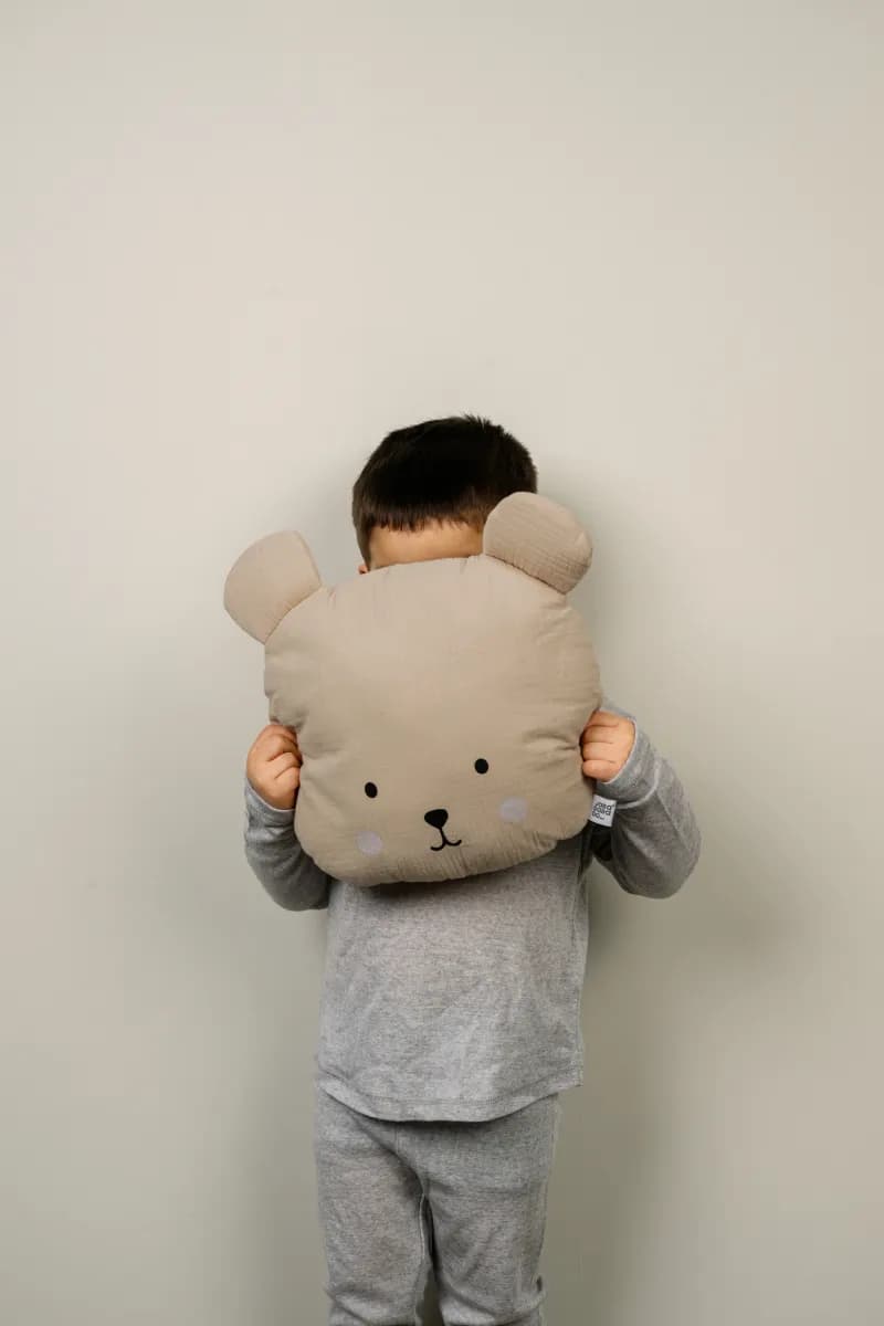 Jabadabado Prydnadskudde Teddy, Multi