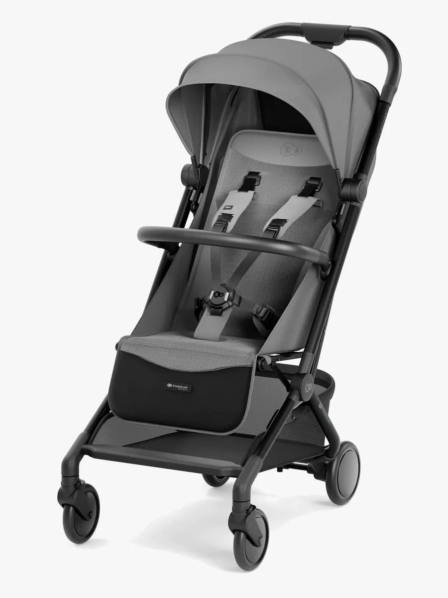 Kinderkraft PILOT 2 Sulky, Platinum Gray