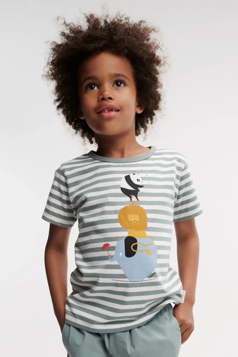 LIEWOOD Apia Placement T-shirt, Circus/Stripe peppermint/Creme de la creme, 128