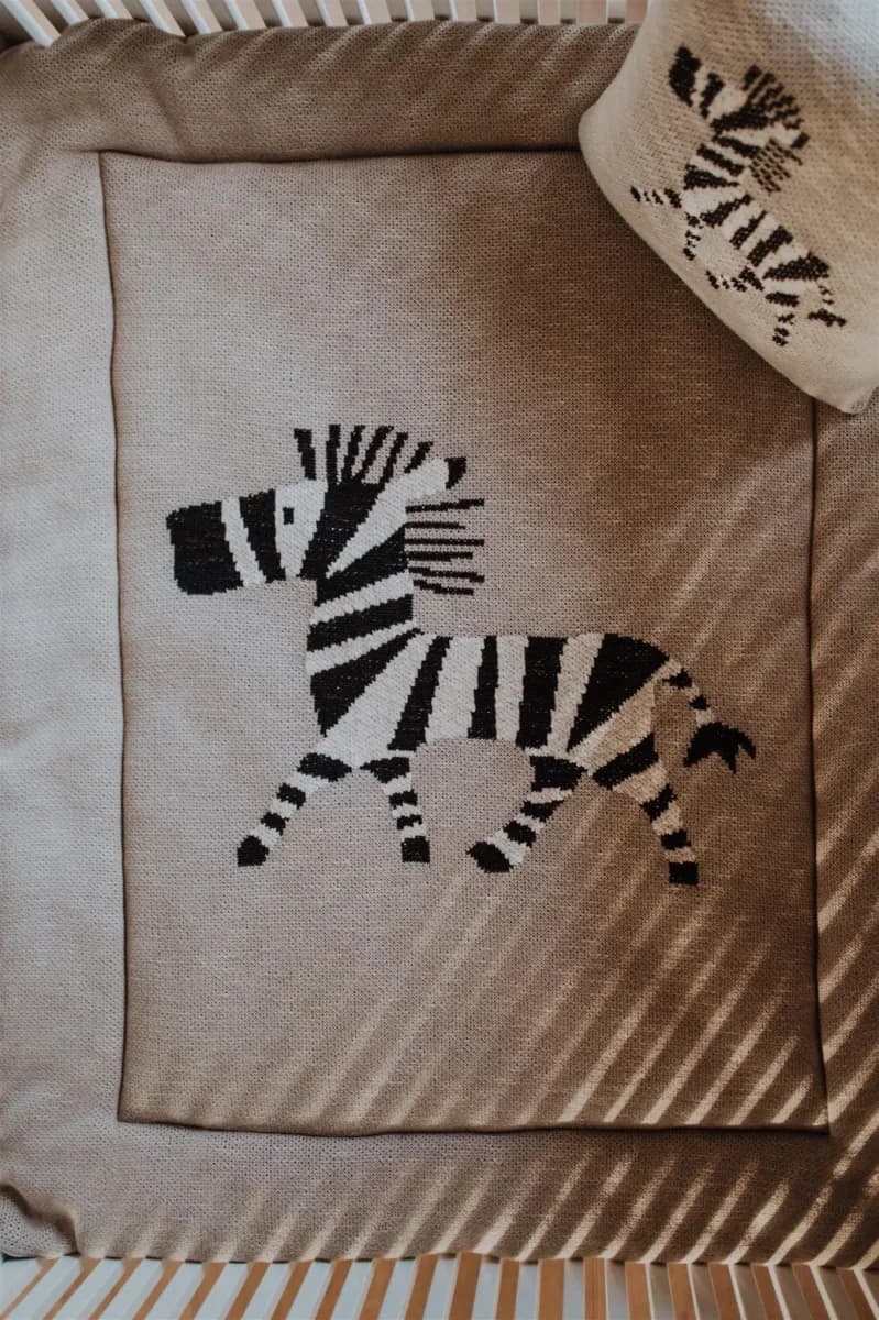 Quax Lekhagematta, Zebra