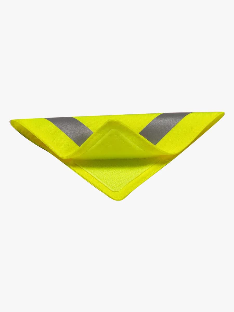 Reer LightReflex Reflexset, Grön