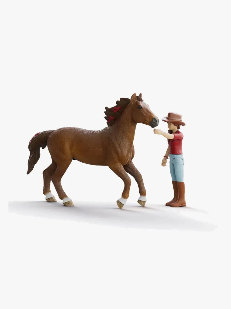 Schleich 42711 Horse Club Hannah &  Cayenne Lekset