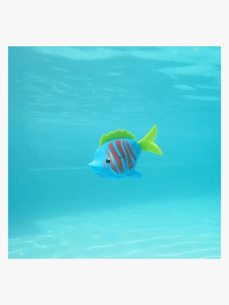 Swimways Rainbow Reef Fish - Beta Fisk