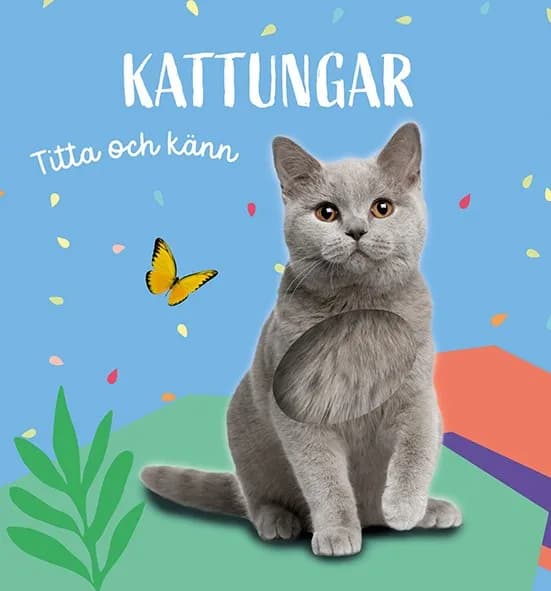 Titta och känn Kattungar