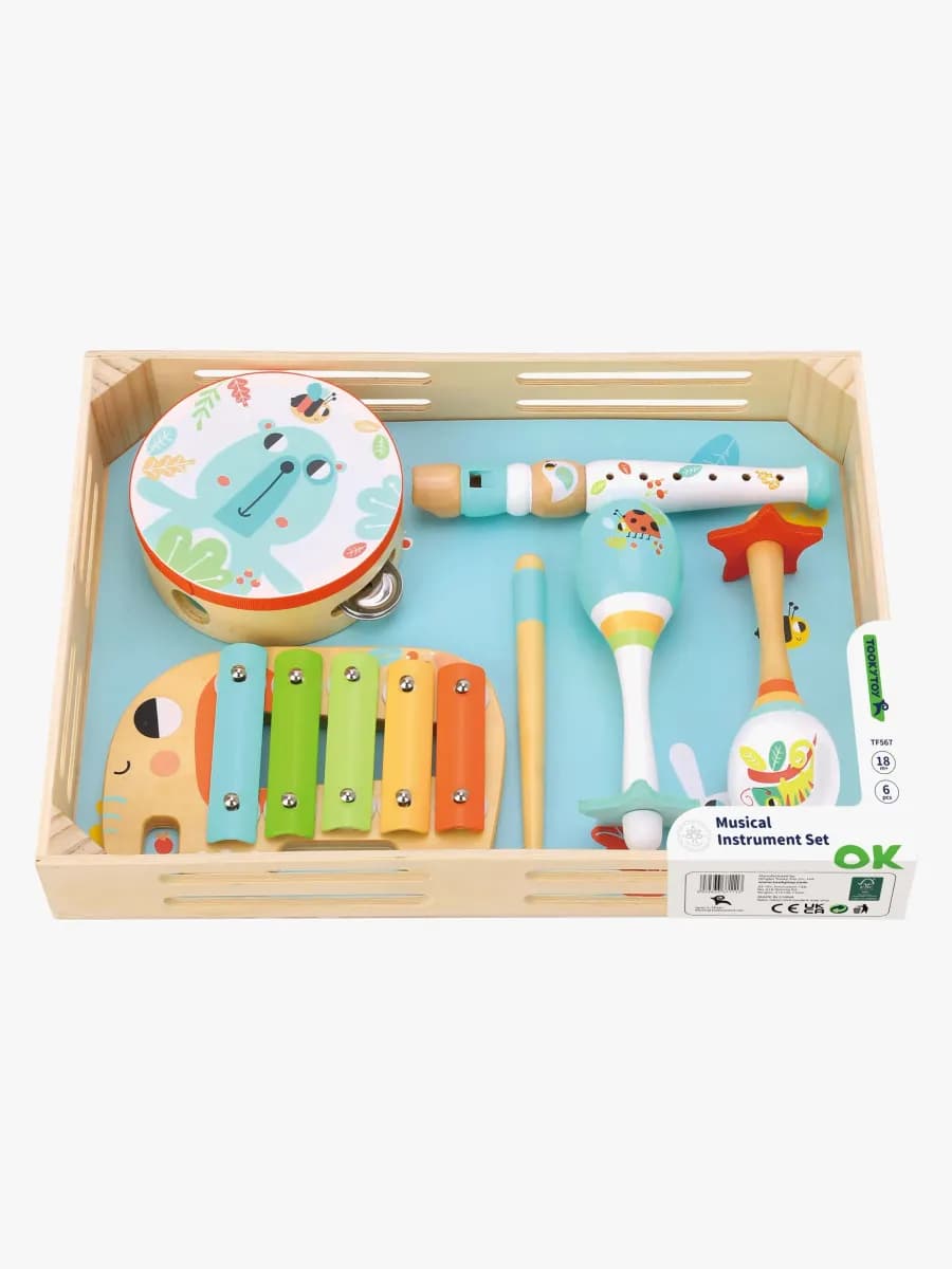 Tooky Toy Instrumentset