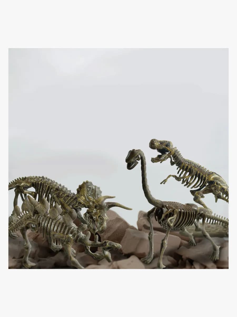 Toyrock Stem Fossil Utgrävningskit 4-i-1