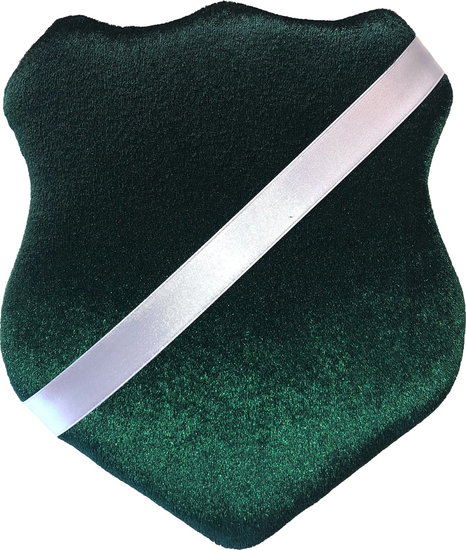 Aquarapid AWP Sheld for Swimming badges