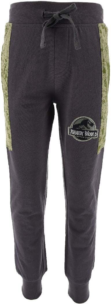 Jurassic World Mjukisbyxor|Dark Grey