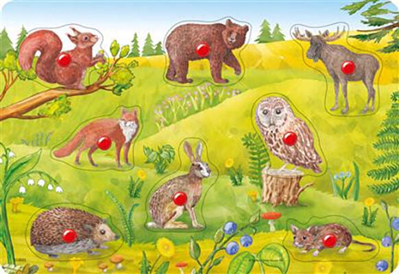 Kärnan Knoppussel Skog