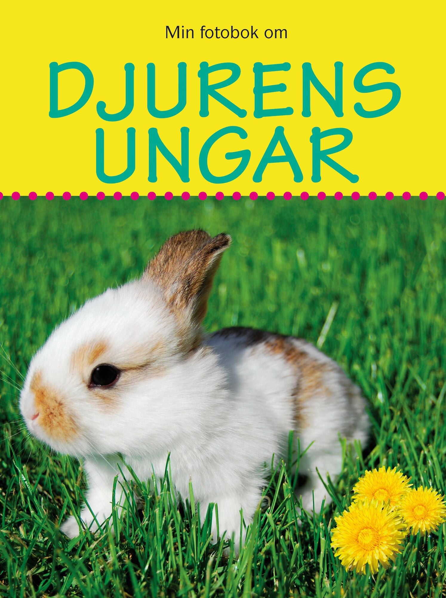 Min fotobok om Djurens ungar